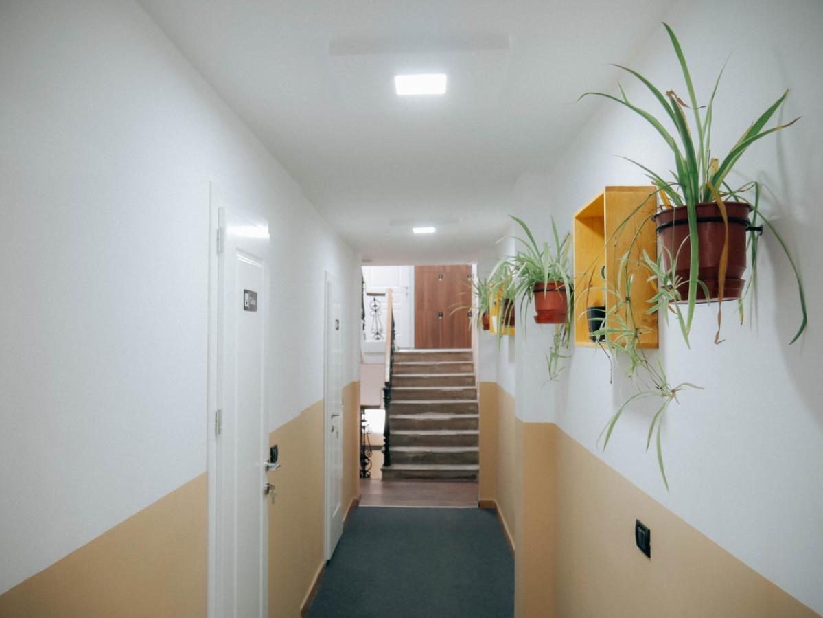 The Maze Hostel Tirana Eksteriør billede