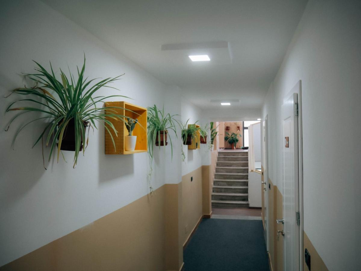 The Maze Hostel Tirana Eksteriør billede